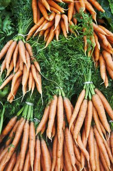 bunch of carrots at a farmers market