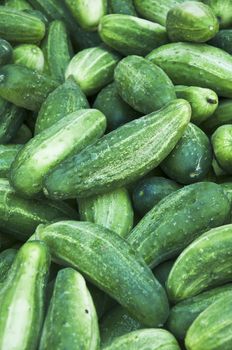 bunch of cucumbers at a farmers market