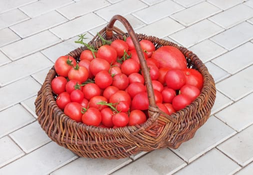 Wattled basket filled with red ripe tomatoes