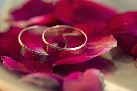 wedding rings and burgundy a roses petals