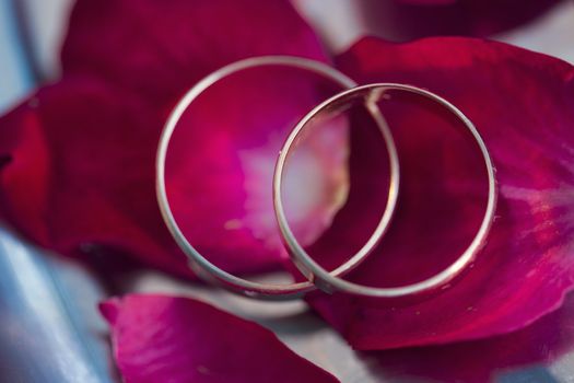 wedding rings and burgundy a roses petals