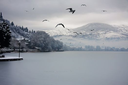 Frozen lake with birds, snow and clouds. Winter in Kastoria