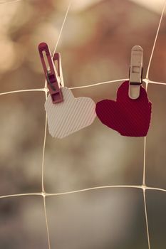 Two homemade hearts on line in front of nature