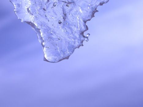 close-up of ice, very shallow DOF!