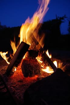 a nice campfire burning outside in summer