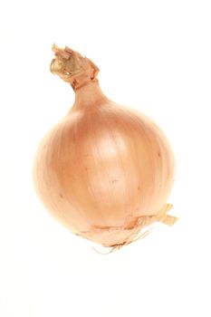 onion on white...........