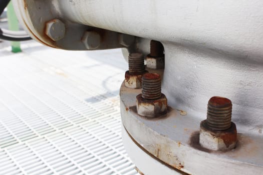 Bolt and nut with structure of chemical plant