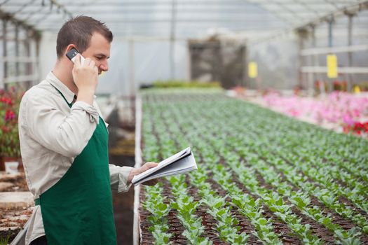 Gardener calling and taking notes for stocktaking in greenhouse nursery