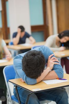 Boy sleeping at desk during exam in exam hall in college