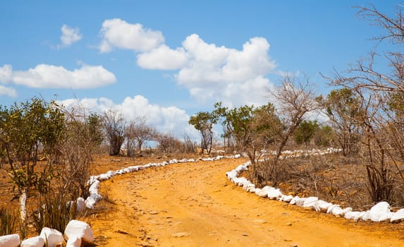 Kenya. Blue sky on this orange road in the middle of African Savana, Tsavo East National Park