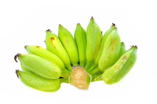 Organic fresh green bananas isolated on white background.