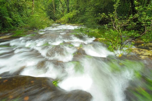 Mountain stream in the rainforest, National Park Thailand.