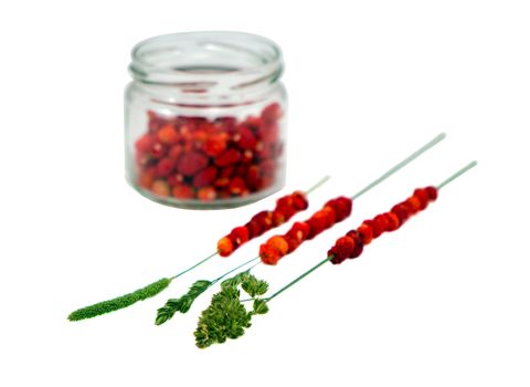Wild forest strawberries in pot and string on bent wisp isolated on white background.