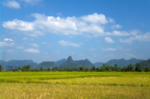 The field is located 8 km northeast of Thakhek near Tham Xang Cave.