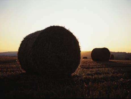 freshly bales of hay