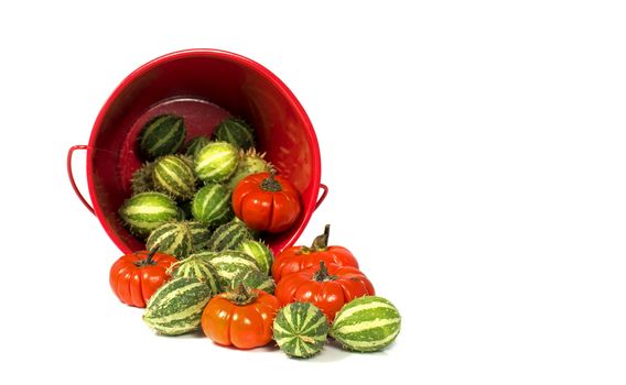 decoration fruit in red and green isolated on white