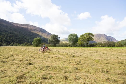Antique tractor and threshing machine turns hay by Buttermere in English Lake District