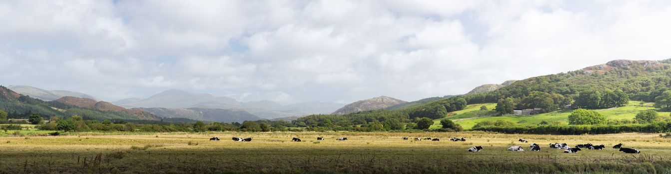 Rural scene in english lake district in panorama format