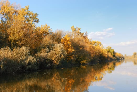 Nature season specific autumn river
