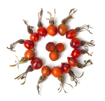 Ripe berries of a dogrose on a white background