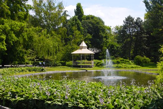 Summer park scene with fountain