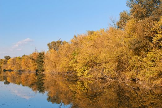 Nature scene with colorful autumn river