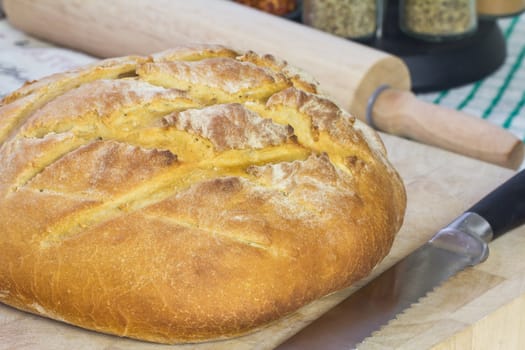 A freshly baked loaf of homemade bread