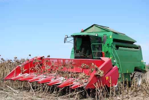 Front view of combine on sunflower harvest