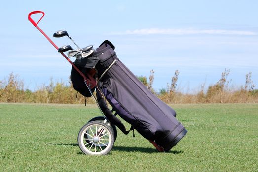 Golf bag with clubs on field