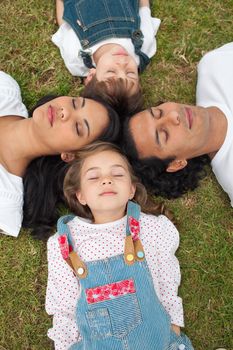 Merry family sleeping lying on the grass in a park