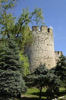 Moldovan fortress of XV century, the city Magpies.