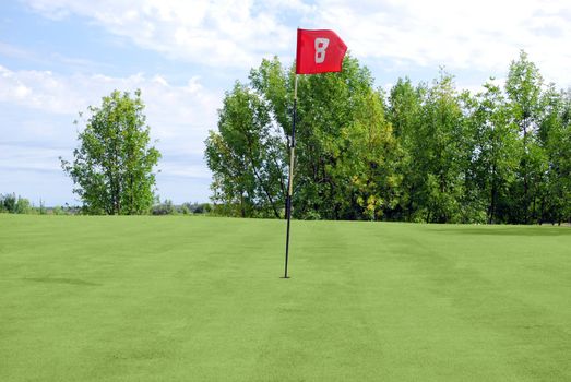 Golf field with golf red flag