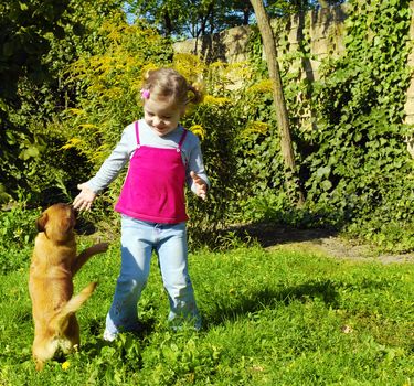 Happy little girl playing with dog