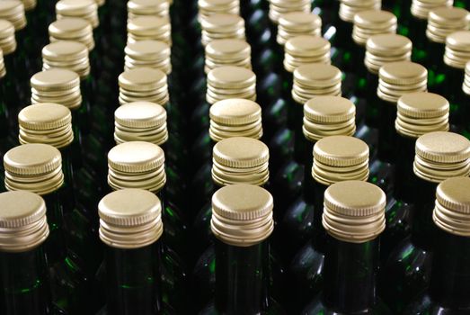 Cellar with wine bottles close detail