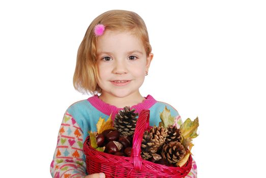 Little girl holding basket with chestnut and pine-cone