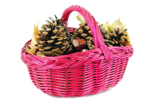 Basket with chestnut and pine-cone on white