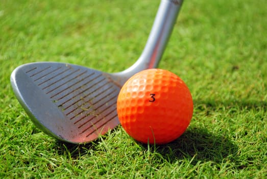 Golf-club and orange golf ball