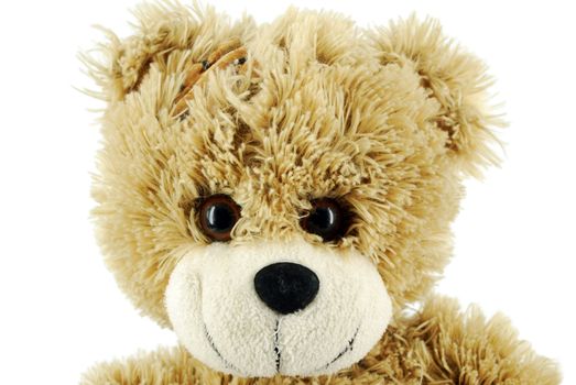 Brown teddy-bear on white closeup