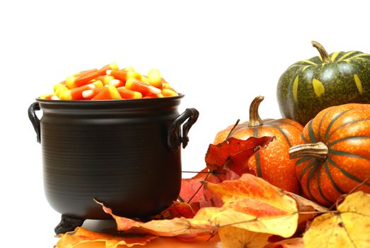 A cauldron of candy corn next to pumkins and leaves.
