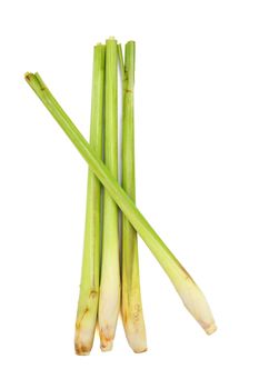 Lemon grass