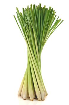 Lemon grass on white background