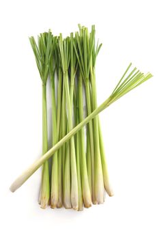 Lemon grass on white background