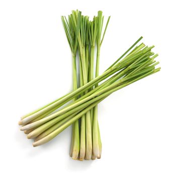 Lemon grass on white background