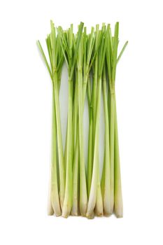 Lemon grass on white background