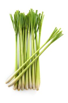 Lemon grass on white background