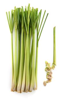 Lemon grass on white background