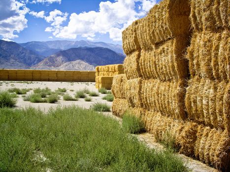 Sun lights up hay bales in high desert of California USA