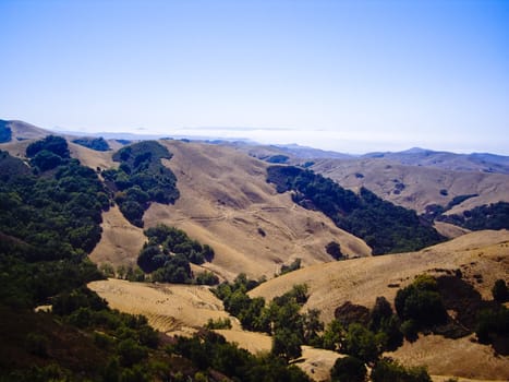 Soft rolling hills of California, USA