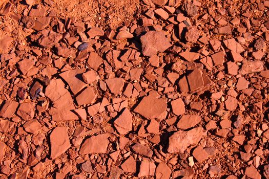 Cracked substrate of Capitol Reef National Park in Utah.