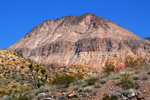 Landscape of the Beaver Dam Mountains Wilderness Area in the northwest corner of Arizona.